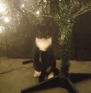 Meet your Posher, Kristine